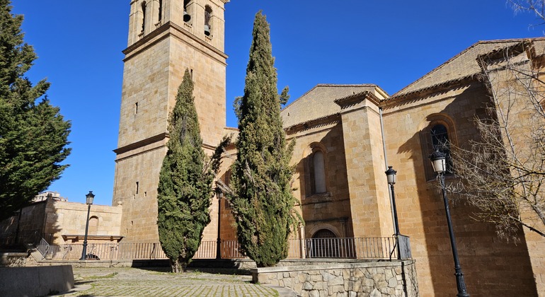 free-tour-of-the-ribera-del-duero-en-soria-es-2