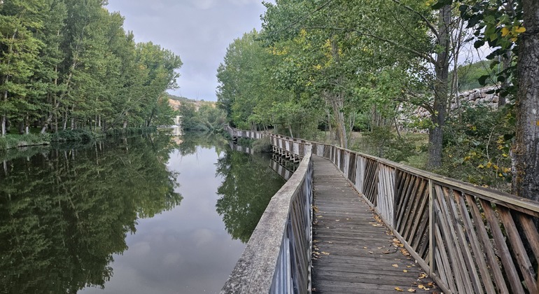 free-tour-of-the-ribera-del-duero-en-soria-es-5