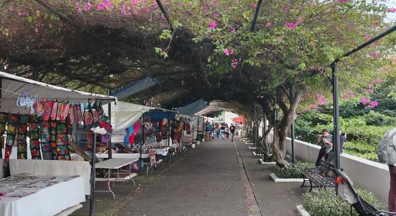 Tour gratuito: visita storica della città vecchia Panama &mdash; #5