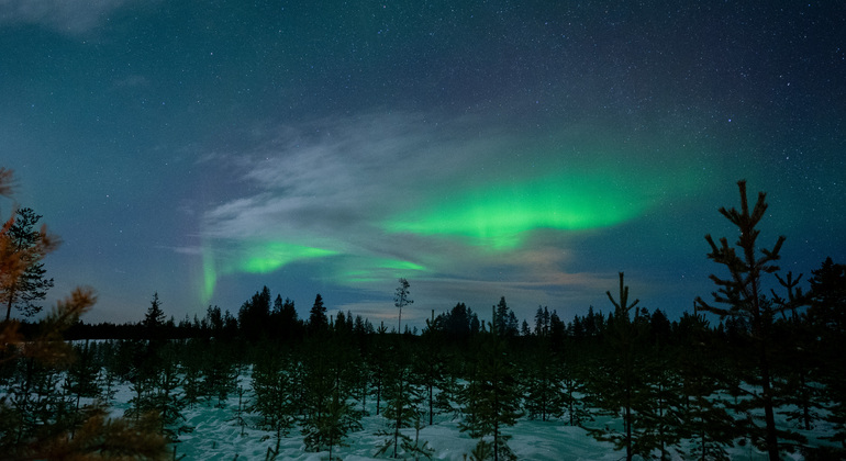 artic-adventure-tour-rovaniemi-northern-lights-es-2