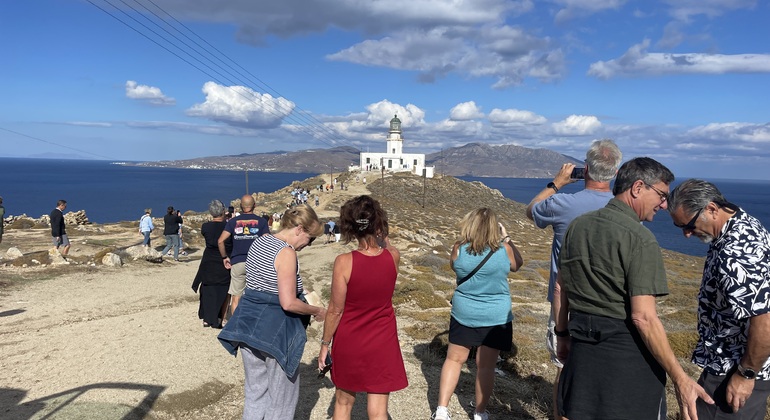 Mykonos Highlights Tour Privado