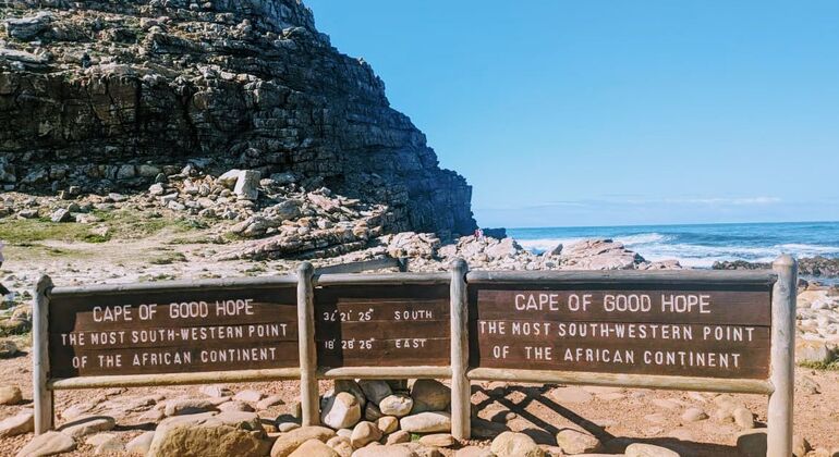 Tour de la péninsule du Cap Afrique du Sud — #3