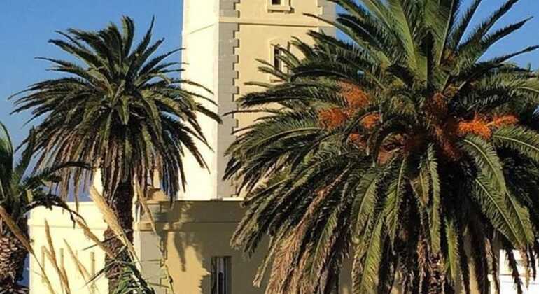 Visita panorâmica de Tânger com passeio de camelo Marrocos &mdash; #5