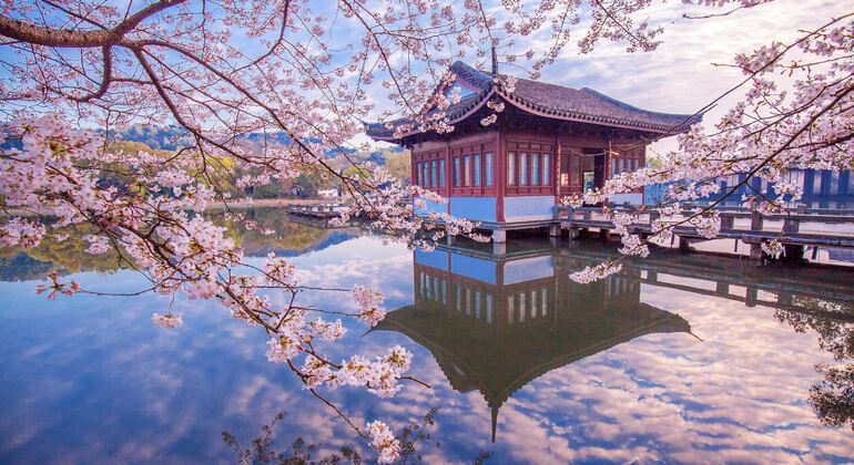 Tour di un giorno del Lago Occidentale (Hangzhou) con doppia esperienza ICH