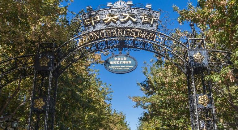 Visite d'une journée à Harbin, China