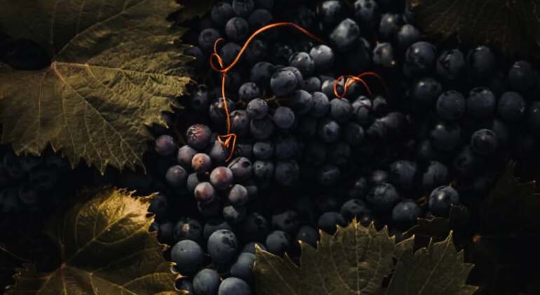 Aserbaidschanische Eleganz: Wein-Tour durch Baku Aserbaidschan — #3