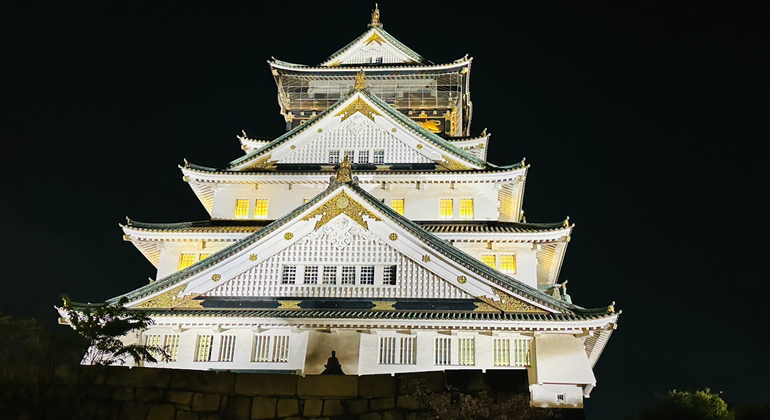 Osaka Castle Essence: A Journey Through Time Provided by Mohammadi Mohammad Gul