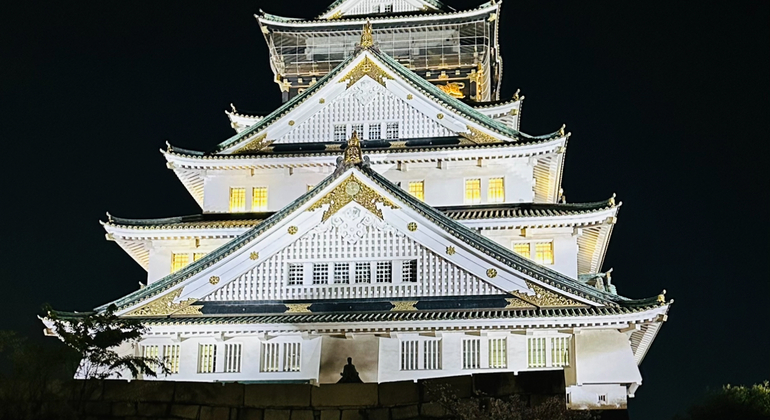 osaka-castle-essence-a-journey-through-time-es-3