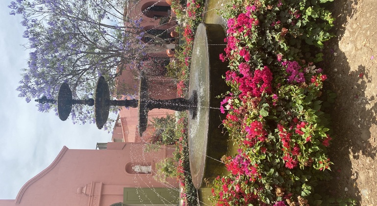 Visita en Tuk Tuk el viñedo de TACAMA el mas antiguo de suramerica Perú — #2