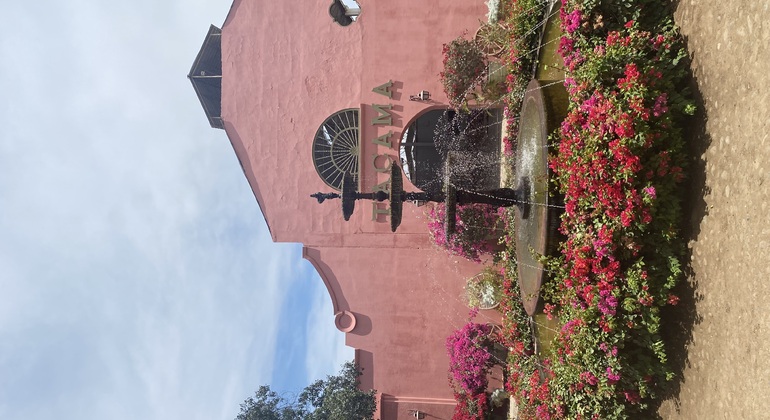 Visita en Tuk Tuk el viñedo de TACAMA el mas antiguo de suramerica Perú — #3