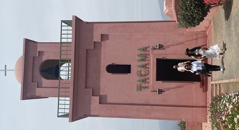 Visita en Tuk Tuk el viñedo de TACAMA el mas antiguo de suramerica Perú — #4