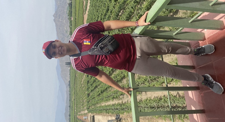 Visita en Tuk Tuk el viñedo de TACAMA el mas antiguo de suramerica Perú — #5