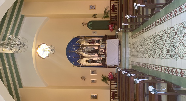 Visita en Tuk Tuk el viñedo de TACAMA el mas antiguo de suramerica Perú — #6