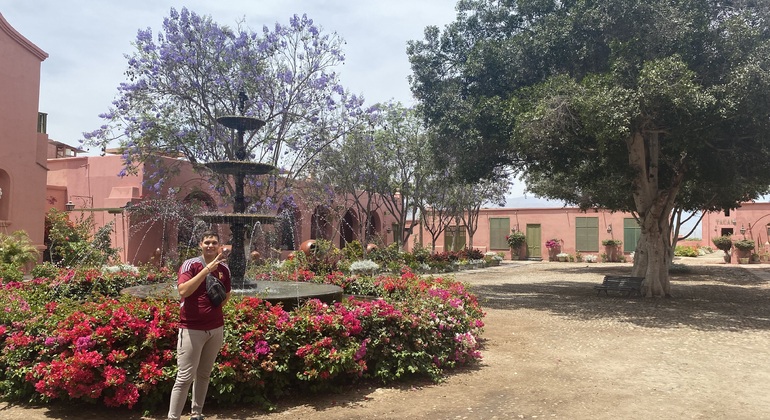 Visita en Tuk Tuk el viñedo de TACAMA el mas antiguo de suramerica Perú — #7