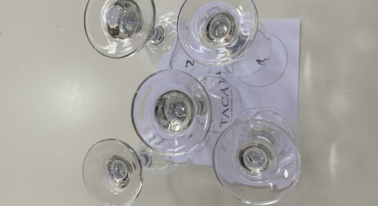 Visita en Tuk Tuk el viñedo de TACAMA el mas antiguo de suramerica Perú — #8