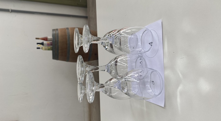 Visita en Tuk Tuk el viñedo de TACAMA el mas antiguo de suramerica Perú — #9