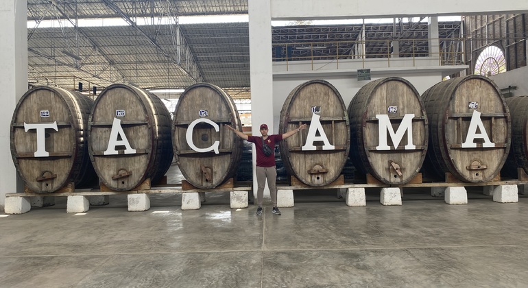 Visita en Tuk Tuk el viñedo de TACAMA el mas antiguo de suramerica Perú — #10