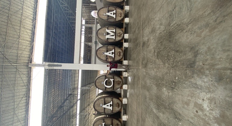 Visita en Tuk Tuk el viñedo de TACAMA el mas antiguo de suramerica Perú — #11