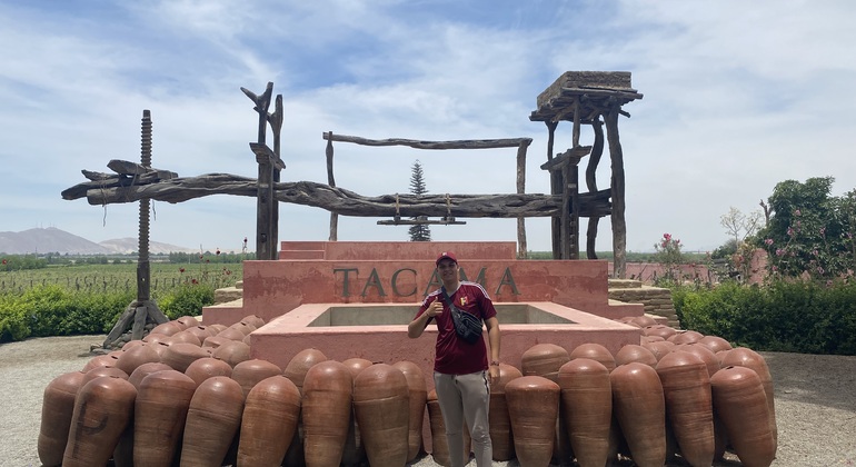 Visita en Tuk Tuk el viñedo de TACAMA el mas antiguo de suramerica Perú — #12