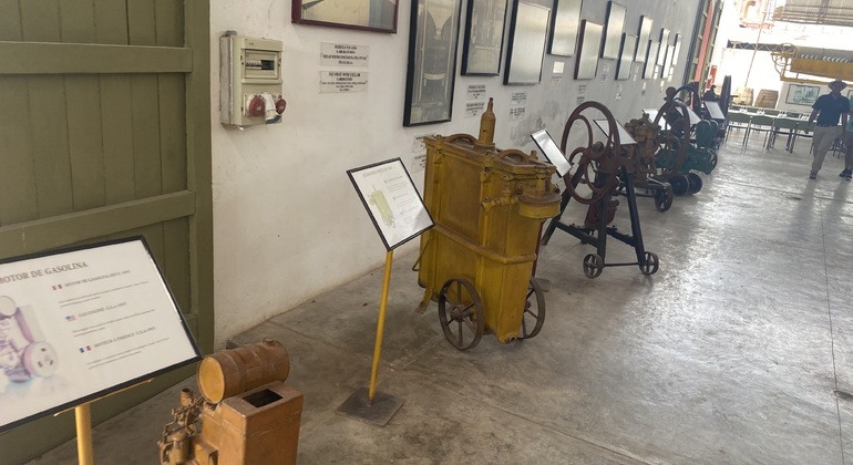 Visita en Tuk Tuk el viñedo de TACAMA el mas antiguo de suramerica Perú — #13