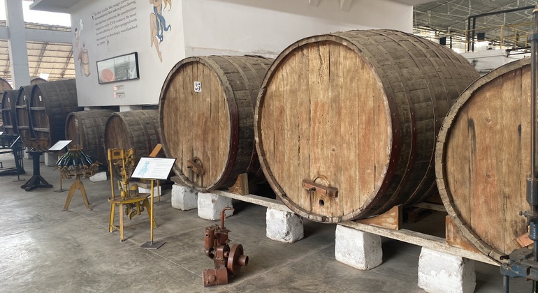 Visita en Tuk Tuk el viñedo de TACAMA el mas antiguo de suramerica Perú — #14