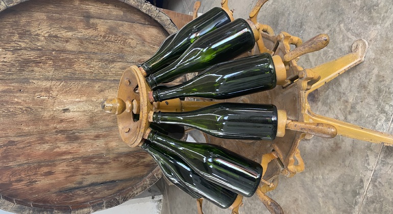 Visita en Tuk Tuk el viñedo de TACAMA el mas antiguo de suramerica Perú — #16