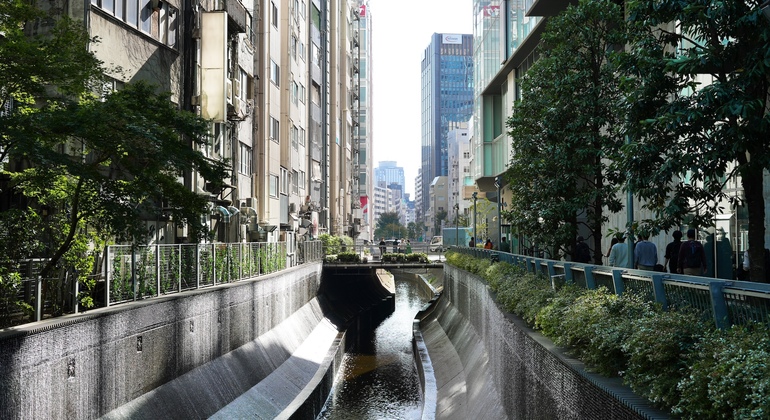 The secret of Shibuya's origin Japan — #7