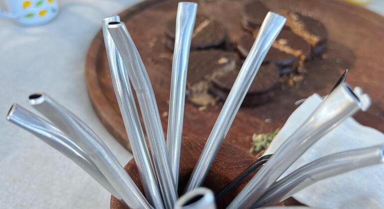 Experiência Mate Ritual Argentina &mdash; #3