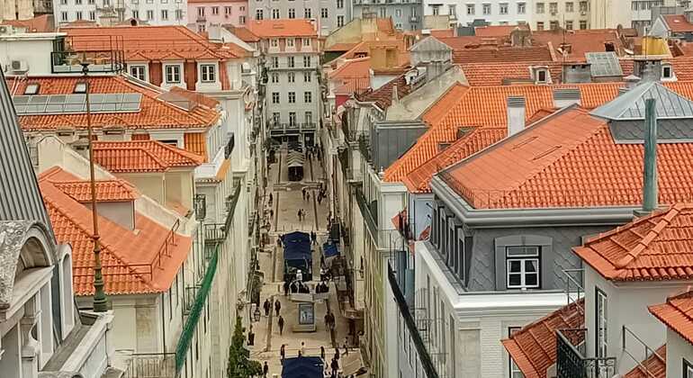 Tour a piedi gratuito: Il meglio del Chiado e del Bairro Alto Portogallo — #2