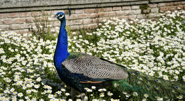 El Retiro Madrid: Secrets, Legends & Small Group Tour Spain &mdash; #1