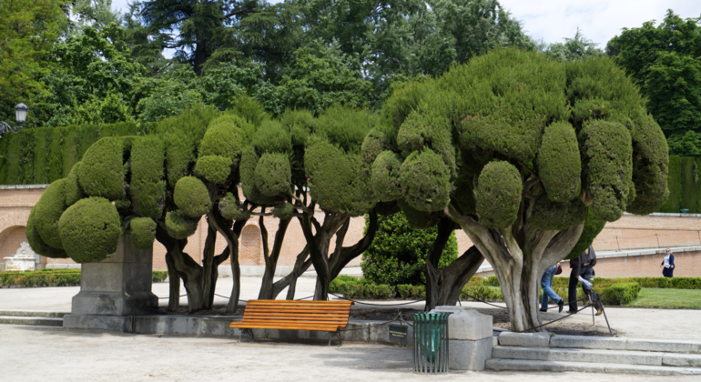 El Retiro Madrid: Secrets, Legends & Small Group Tour Spain &mdash; #8