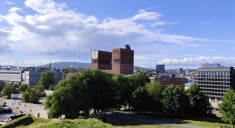 Osloer Fjordtour Norwegen — #5