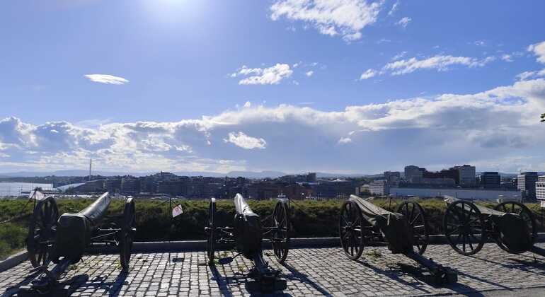 Osloer Fjordtour Norwegen — #6