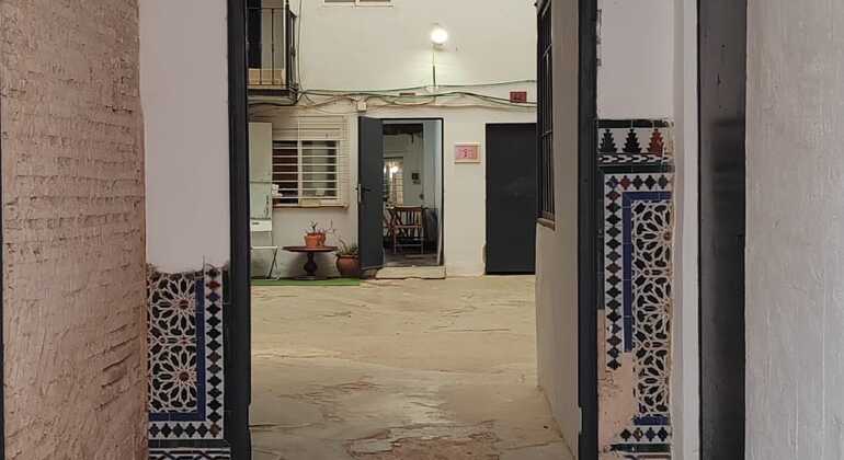 Sevilla: Besichtigung, Unterricht, traditionelles Essen und Flamenco-Show Spanien — #9