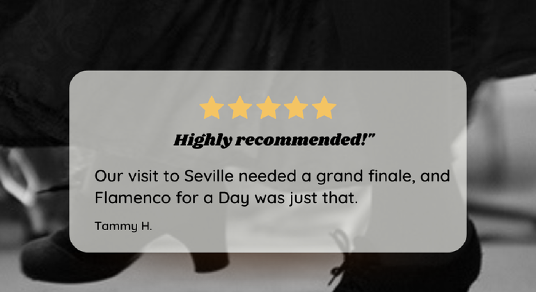 Sevilla: Besichtigung, Unterricht, traditionelles Essen und Flamenco-Show Spanien — #29