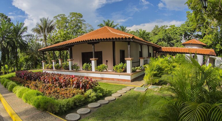 Caracas, Strokes and Contrasts Tour Venezuela — #4