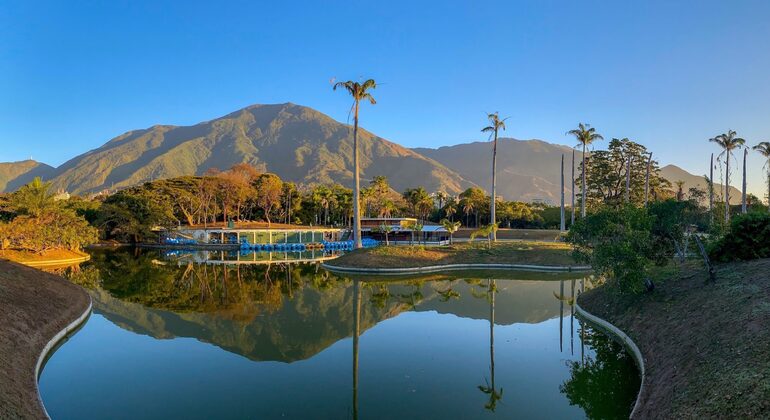 Caracas, Strokes and Contrasts Tour Venezuela — #5