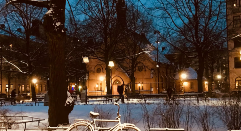 Estocolmo: Visita guiada a pé aos mercados e luzes de Natal Suécia — #2