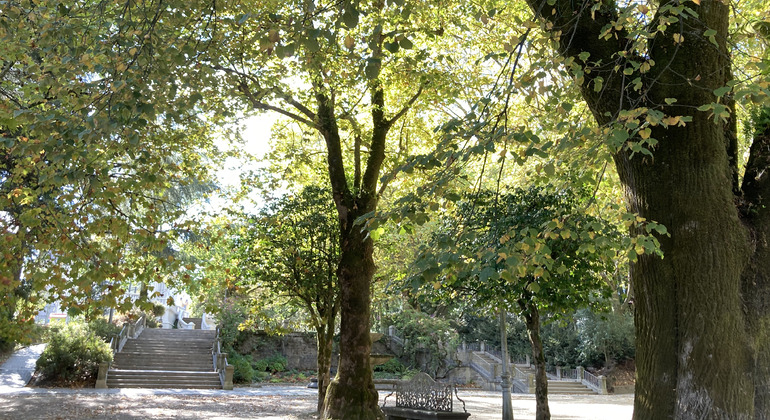 Visita urbana di Santiago de Compostela Spagna — #9