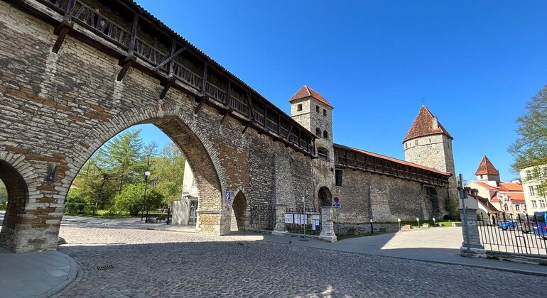 Tour della storia e delle leggende della città vecchia di Tallinn Estonia — #2