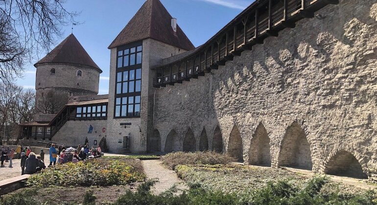 Tour della storia e delle leggende della città vecchia di Tallinn Estonia — #8