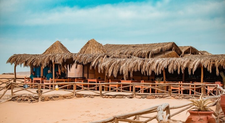 Hurghada Hula Hula Island Schnorchelausflug mit Mittagessen und Massage Bereitgestellt von Tarek