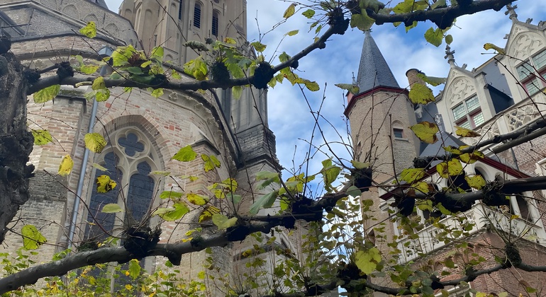 FreeTour: Bruges e os seus segredos cervejeiros Bélgica — #4