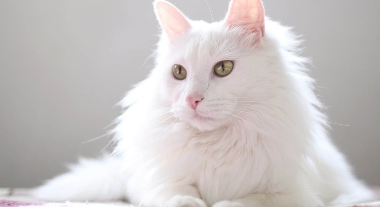 Visita del centro storico di Ankara Turchia &mdash; #10