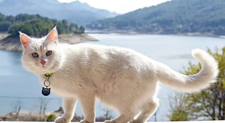 Visita del centro storico di Ankara Turchia &mdash; #23