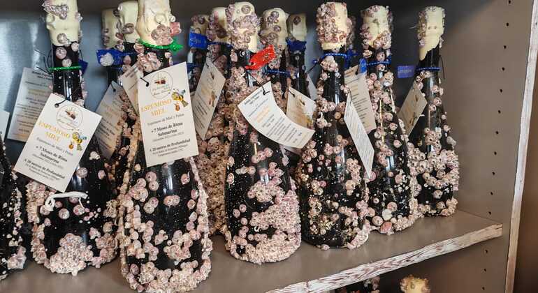 Weinverkostung von unter Wasser gereiften Weinen Spanien &mdash; #4