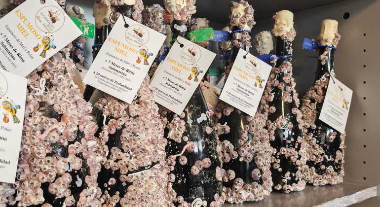 Weinverkostung von unter Wasser gereiften Weinen Spanien &mdash; #5