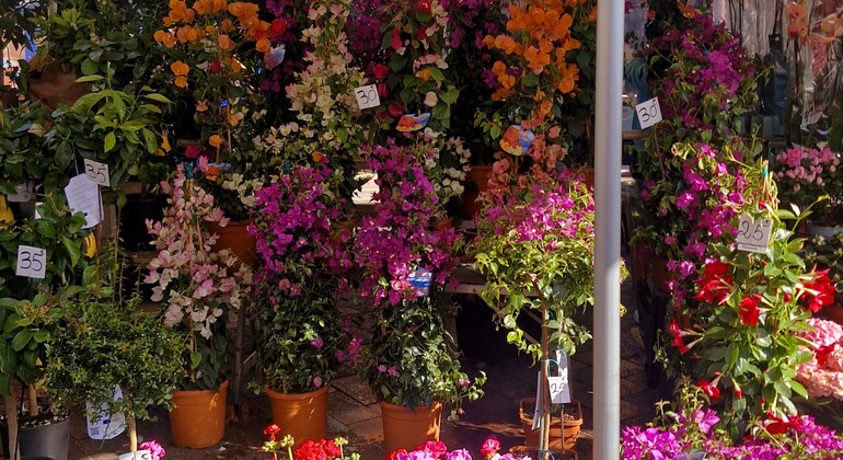 nice-la-belle-free-tour-es-15