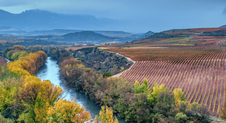 half-day-private-tour-with-a-local-en-4