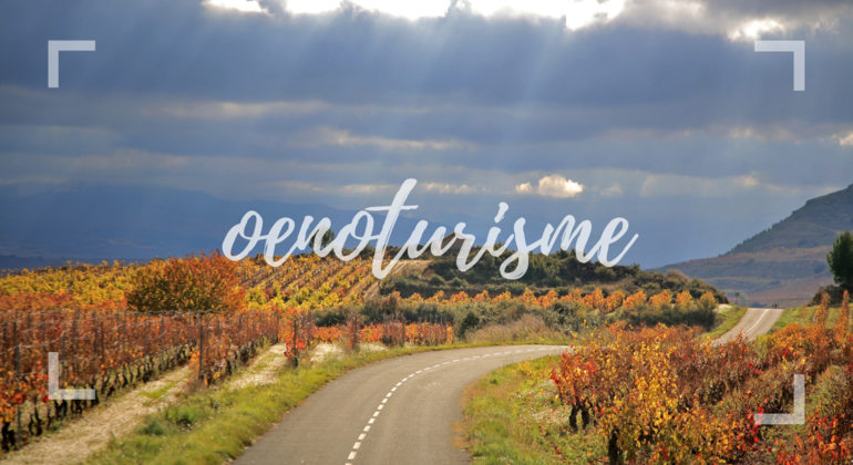 half-day-private-tour-with-a-local-en-11